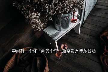 中間有一個(gè)杯子兩旁個(gè)有一瓶富貴萬(wàn)年茅臺(tái)酒