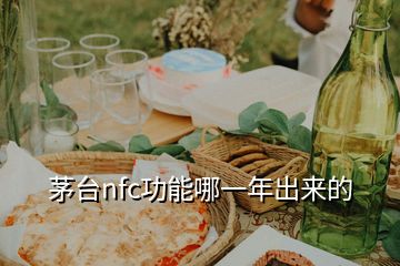 茅臺(tái)nfc功能哪一年出來(lái)的