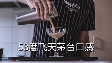 53度飛天茅臺口感