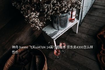 神舟 hasee 飛天ui47d4 14英寸超級本 京東賣4300怎么樣性價