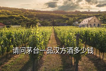 請問茅臺(tái)一品漢方酒多少錢