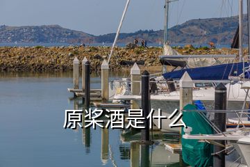 原槳酒是什么