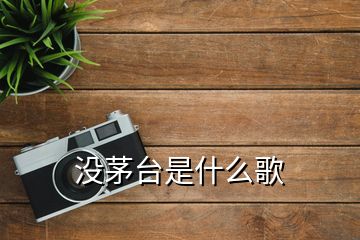 沒茅臺是什么歌