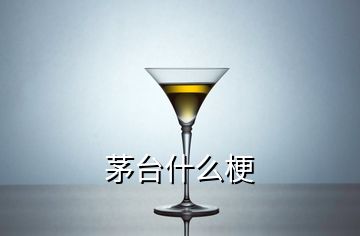 茅臺(tái)什么梗