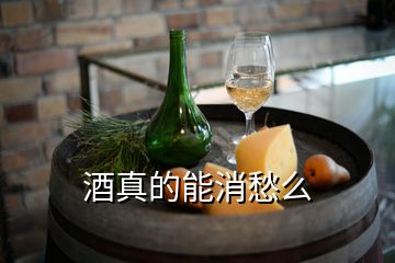 酒真的能消愁么