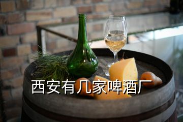 西安有幾家啤酒廠