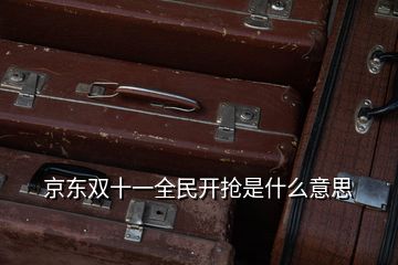 京東雙十一全民開搶是什么意思