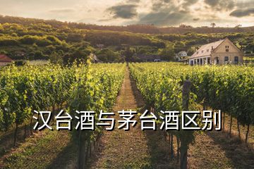 漢臺酒與茅臺酒區(qū)別