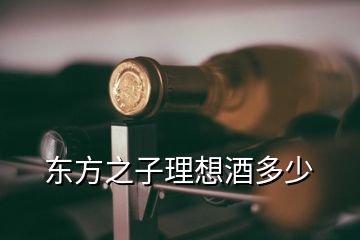 東方之子理想酒多少