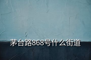 茅臺路868號什么街道