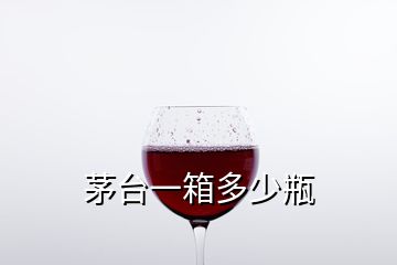 茅臺(tái)一箱多少瓶