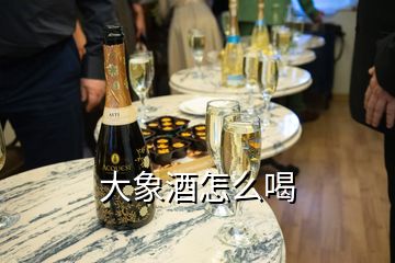 大象酒怎么喝