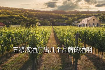 五糧液酒廠出幾個品牌的酒啊