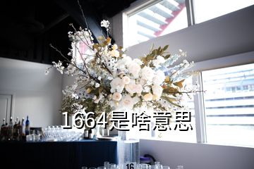 1664是啥意思