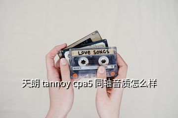 天朗 tannoy cpa5 同軸音質(zhì)怎么樣