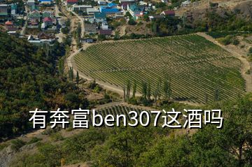 有奔富ben307這酒嗎