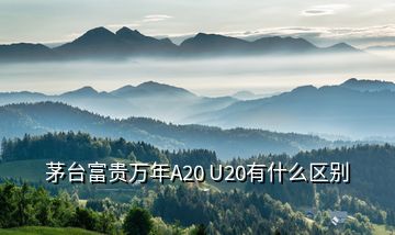 茅臺(tái)富貴萬年A20 U20有什么區(qū)別