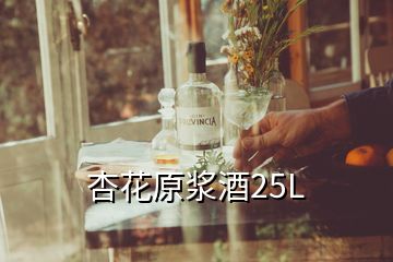 杏花原漿酒25L