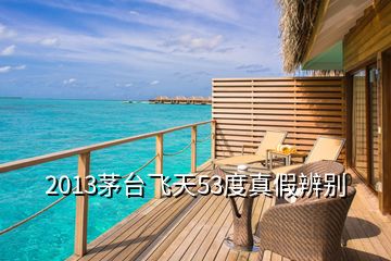 2013茅臺(tái)飛天53度真假辨別