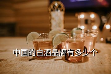 中國的白酒品牌有多少個