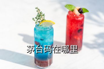 茅臺碼在哪里