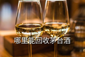 哪里能回收茅臺酒