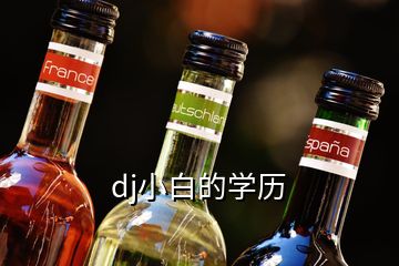 dj小白的學(xué)歷