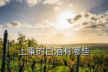 上乘的白酒有哪些