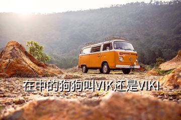 在中的狗狗叫VIK還是VIKI