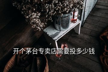 開(kāi)個(gè)茅臺(tái)專賣店需要投多少錢