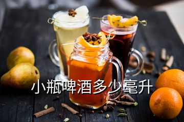 小瓶啤酒多少毫升