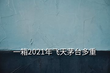 一箱2021年飛天茅臺多重