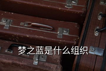 夢之藍(lán)是什么組織