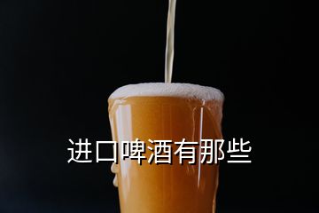 進口啤酒有那些