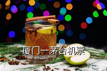 廈門一茅臺(tái)機(jī)票