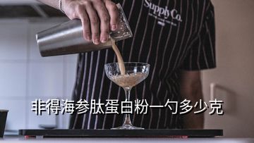 非得海參肽蛋白粉一勺多少克