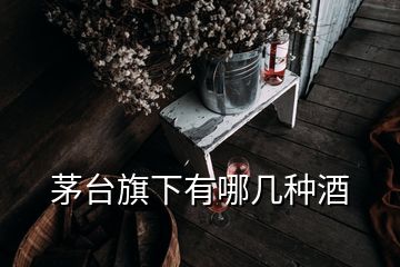 茅臺(tái)旗下有哪幾種酒