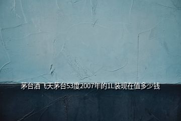 茅臺(tái)酒飛天茅臺(tái)53度2007年的1L裝現(xiàn)在值多少錢