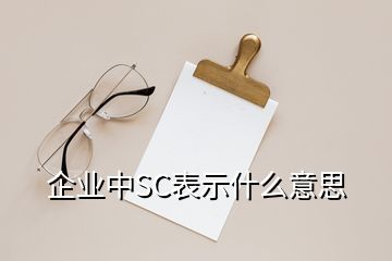 企業(yè)中SC表示什么意思