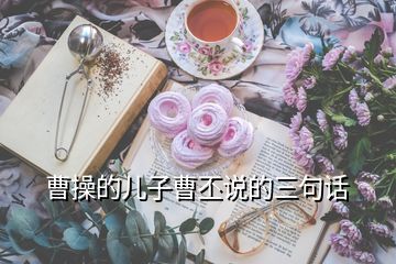 曹操的兒子曹丕說(shuō)的三句話