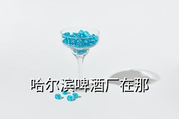 哈爾濱啤酒廠在那