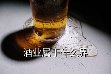 酒業(yè)屬于什么界