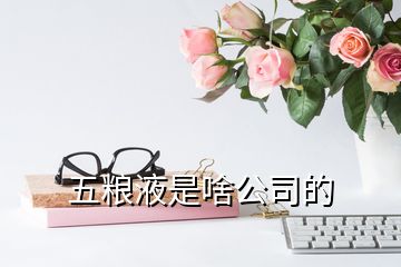 五糧液是啥公司的