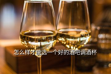 怎么樣才能選一個好的酒吧調(diào)酒杯