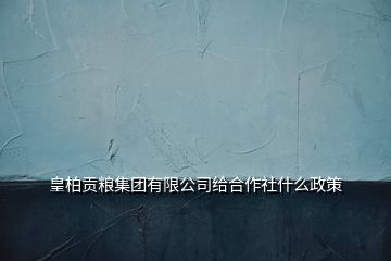 皇柏貢糧集團有限公司給合作社什么政策