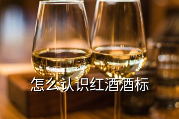 怎么認(rèn)識(shí)紅酒酒標(biāo)