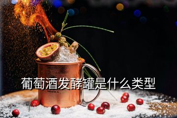 葡萄酒發(fā)酵罐是什么類型