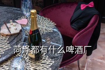 菏澤都有什么啤酒廠