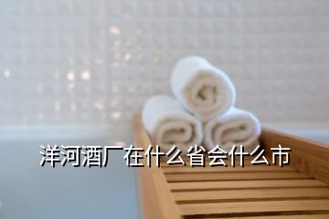 洋河酒廠在什么省會什么市