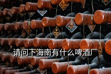 請(qǐng)問(wèn)下海南有什么啤酒廠